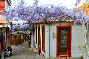 agora-molyvos-foto-rena-hoffmann.jpg                      