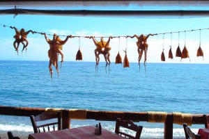 taverne-foto-rena-hoffmann.jpg                 