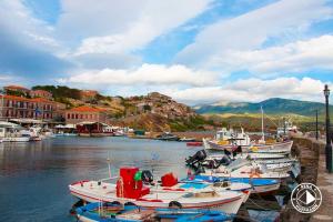 Molyvos Blick auf das Dorf Foto Rena Hoffmann